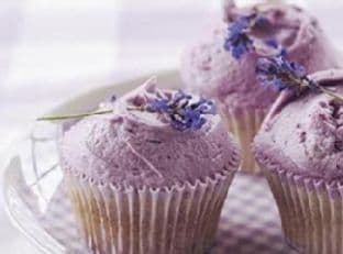 Lavender Cupcakes
