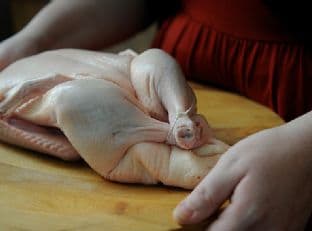Ginger Duck