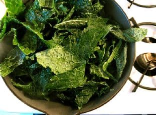 Cavolo Nero Kale