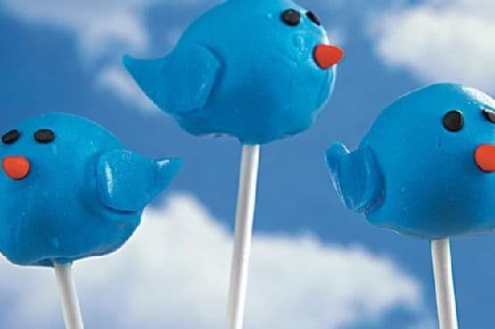 Bluebird Cake Pops