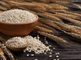 What is Barley