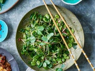 Sichuan Fava Bean, Pea Sprout & Radish Salad