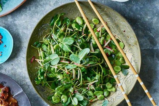 Sichuan Fava Bean, Pea Sprout & Radish Salad