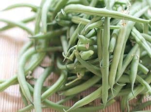 Fresh Five Bean Salad