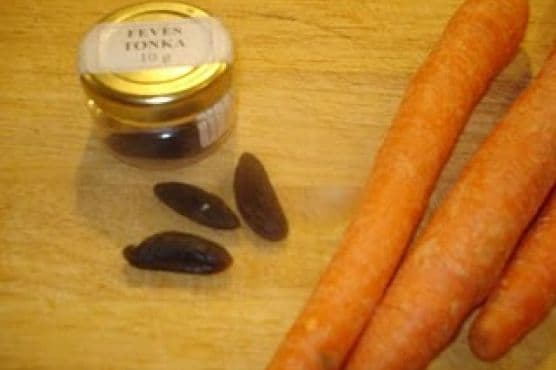 Tonka Carrots