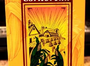 The Best Instant Pot Vegetarian Chili EVER