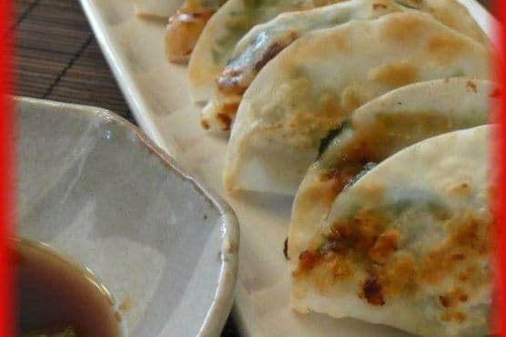Chicken Gyoza with Yuzu Kosho