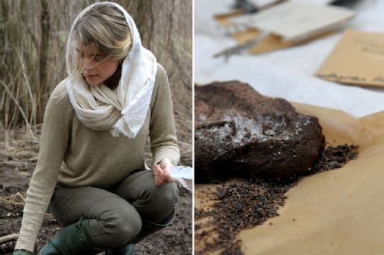 Raw Super-infused Chocolate Cake