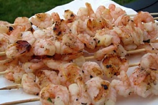 Shrimp