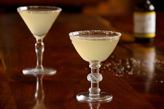 Salty Dog: Not a Surfer or a Pirate