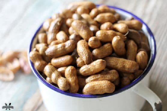 Slow Cooker Boiled Peanuts