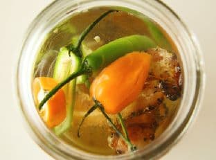 Bacon & Pepper Infused Vodka